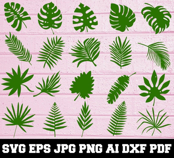 Download Tropical Leaves Svg Tropical Leaves Silhouette Leaves Etsy