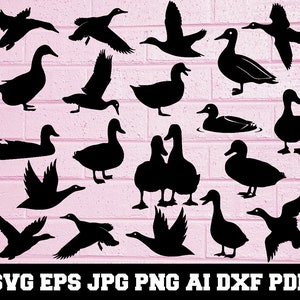 Duck SVG - Animal Svg - Duck Silhouette - SVG Cut Files - Duck Bundle SVG - Duck Clipart - Duck Cut File - Duck Vector - Instant Download