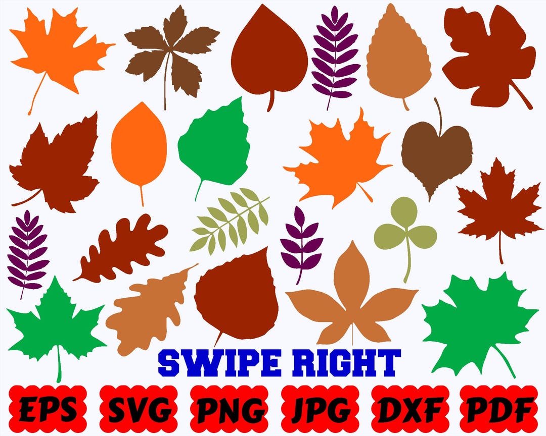 Leaves SVG | Leaf SVG | Fall SVG | Autumn Svg | Cut Files for Cricut ...
