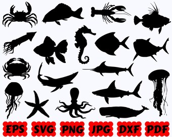 Ocean Life SVG | Ocean Creatures SVG | Sea Animals SVG | Cut Files for Cricut & Silhouette | Svg Eps Dxf Png Jpg Pdf | Commercial Use