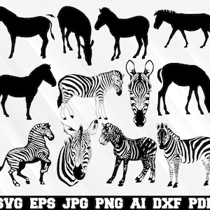 Zebra SVG - Animal SVG - Zebra Silhouette - SVG Cut Files - Zebra Bundle Svg- Zebra Clipart- Zebra Cut File- Zebra Vector- Instant Download