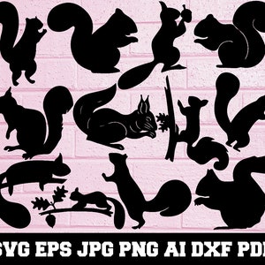 Squirrel SVG - Animal SVG - Squirrel Silhouette - SVG Cut Files- Squirrel Bundle Svg- Squirrel Clipart- Squirrel Cut File- Instant Download