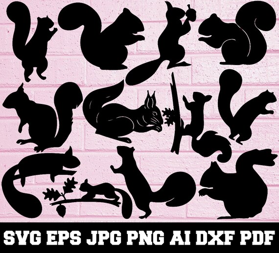 Download Squirrel Svg Animal Svg Squirrel Silhouette Svg Cut Etsy