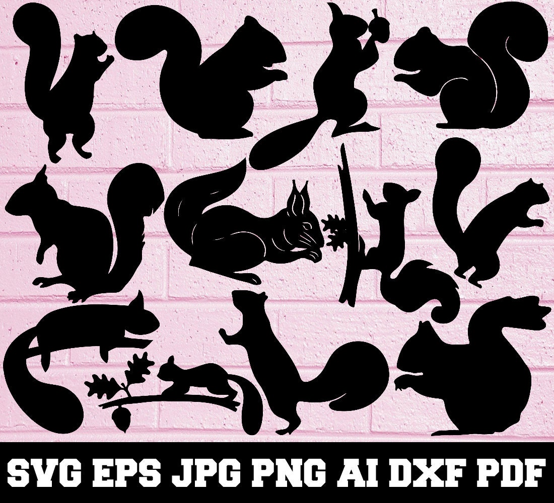 Squirrel SVG Animal SVG Squirrel Silhouette SVG Cut Etsy