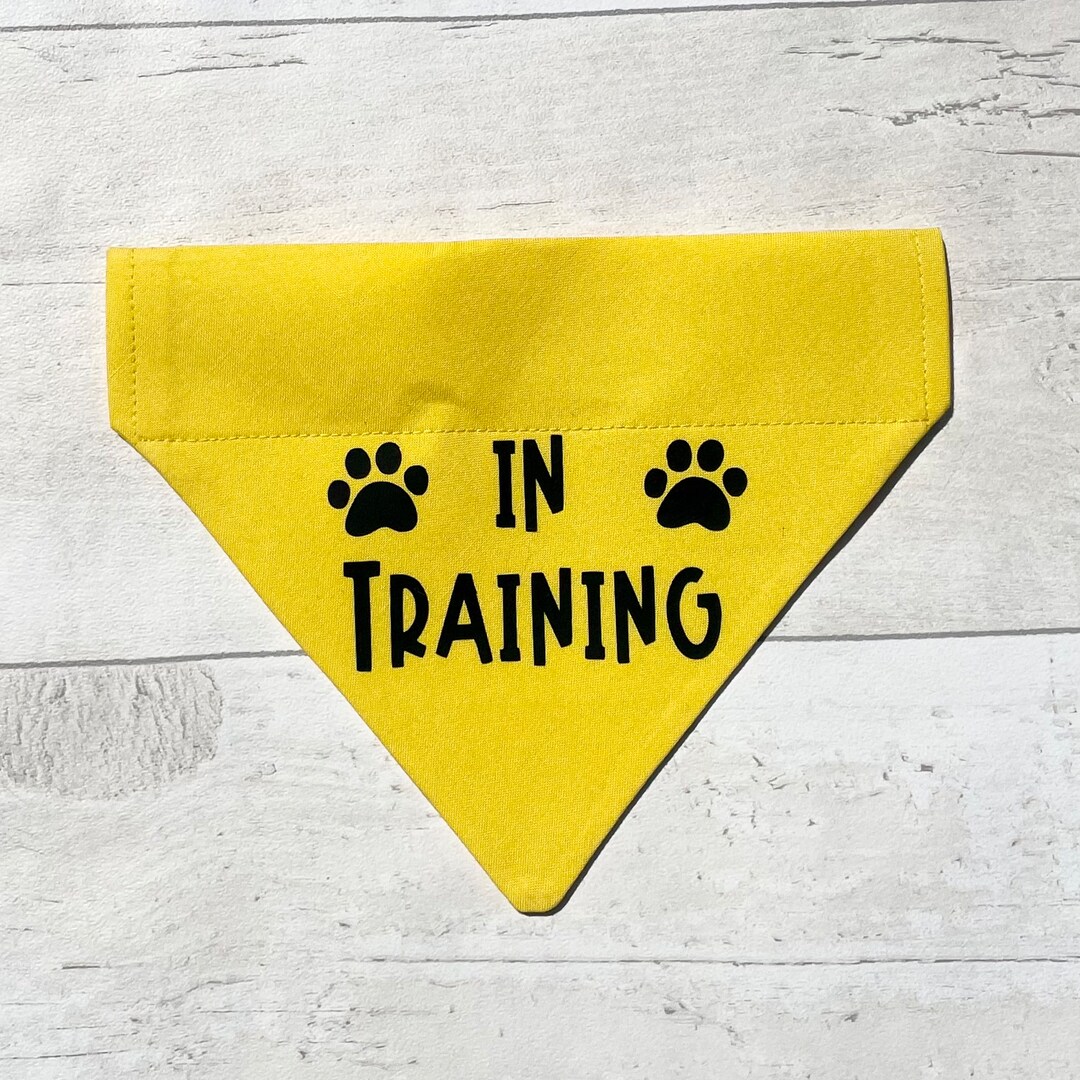 Yellow in Training Dog Bandana Etsy UK