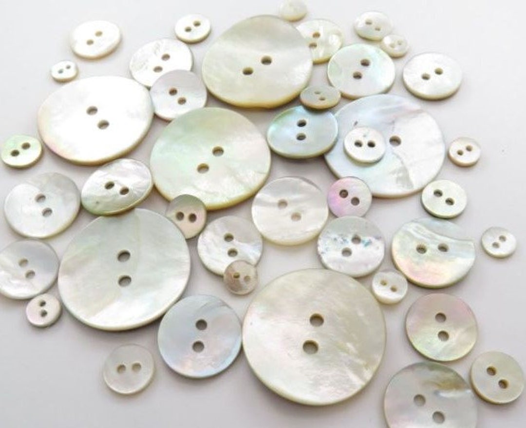 Natural Shell Buttons for Crafts Bulk Mother of Pearl Buttons for Sewing  Mixed Seashell Buttons 0.66 LB 300 Grams 650 PCs