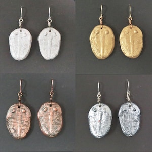 Fossil Earrings - Trilobite Cast Fossil Jewelry