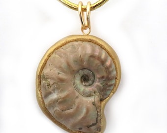Ammonite Fossil Pendant Real Fossil Nature Jewelry