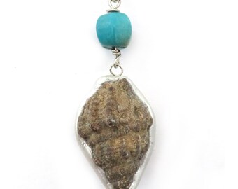 Sea Shell Fossil Pendant with Turquoise Gem Bead Real Fossil Nature Jewelry