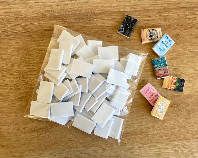 Op de afbeelding: Een doorzichtige plastic zak gevuld met talloze blanco witte rechthoekige miniatuur boekomslagen, vergezeld van acht afgewerkte miniatuurboeken met titels zoals Fourth Wing, Things We Never Got Over, The Last Letter, Flock en Seven Year Slip.