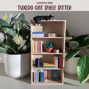 May include: A miniature light-colored wooden bookshelf featuring four shelves filled with tiny colorful books, a small green succulent in a red pot, a blue vase, and a black and white tuxedo cat figurine resting on the top edge of the unit.