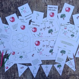 | du cycle de vie de la pomme géante Pack d’éducation