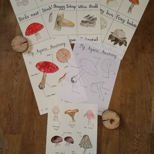 Peut inclure: Un ensemble de cartes d'identification de champignons imprimables. Les cartes présentent des illustrations à l'aquarelle de différents types de champignons, notamment l'amanite tue-mouches, le coprin chevelu et le bolet roux. Les cartes comprennent également les noms communs de chaque champignon et une brève description de ses caractéristiques.