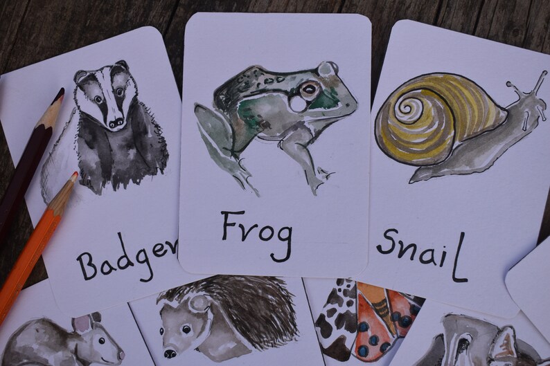 Flashcards de animais noturnos | Identificação Britânica imagem 3