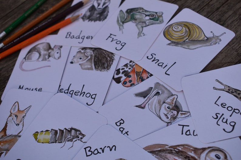 Flashcards de animais noturnos | Identificação Britânica imagem 4