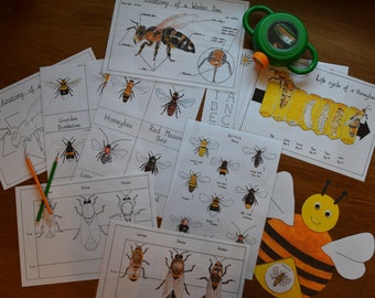 Pacote de pára-choques Honey Bee e Bumble Bee /Educação Doméstica ou Estudos da Natureza