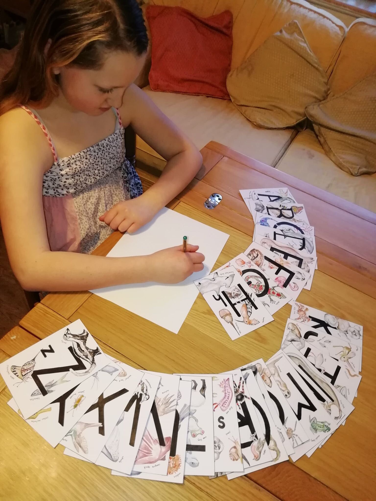 Harf Ree Flash Card Animal Alphabet Learning Flashcards | HARD COPY | With Over 100 ...