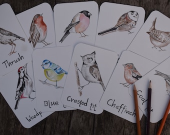 Aves Britânicas | Flashcards de identificação