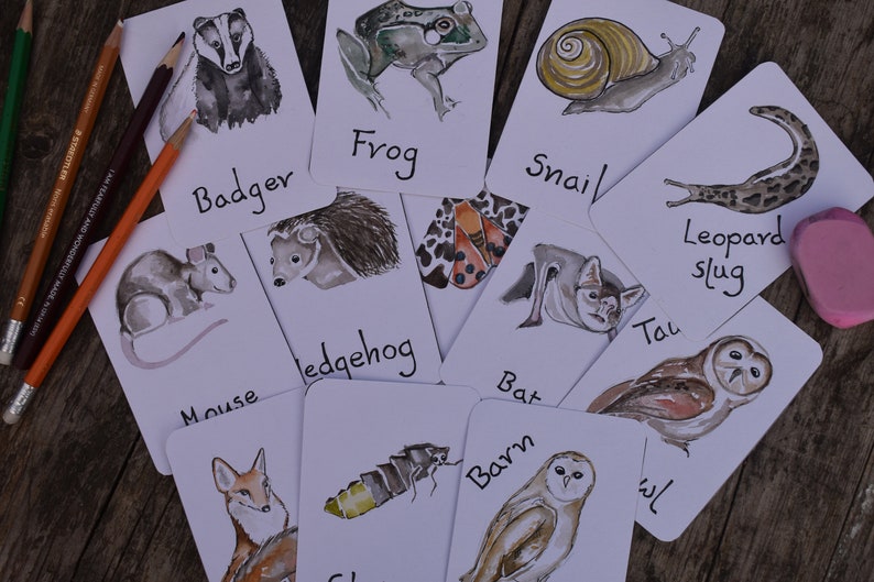 Flashcards de animais noturnos | Identificação Britânica imagem 1