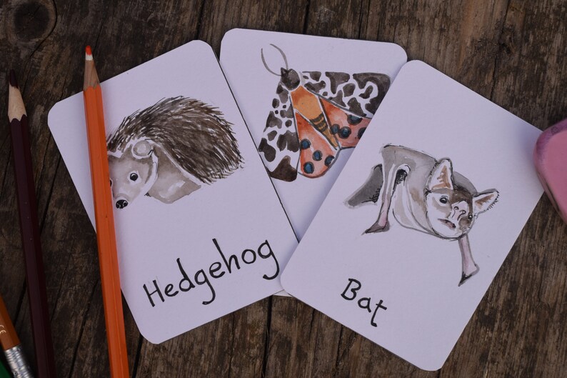 Flashcards de animais noturnos | Identificação Britânica imagem 2