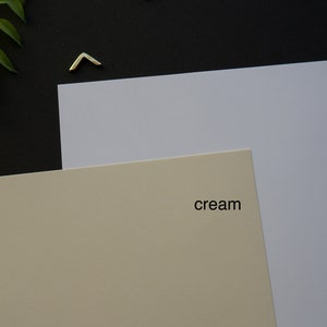 May include: A studio shot featuring two sheets of paper, one cream and one white, with the words "cream" and "white" printed on them. The background is black, with a gold-colored corner and a green leafy branch.