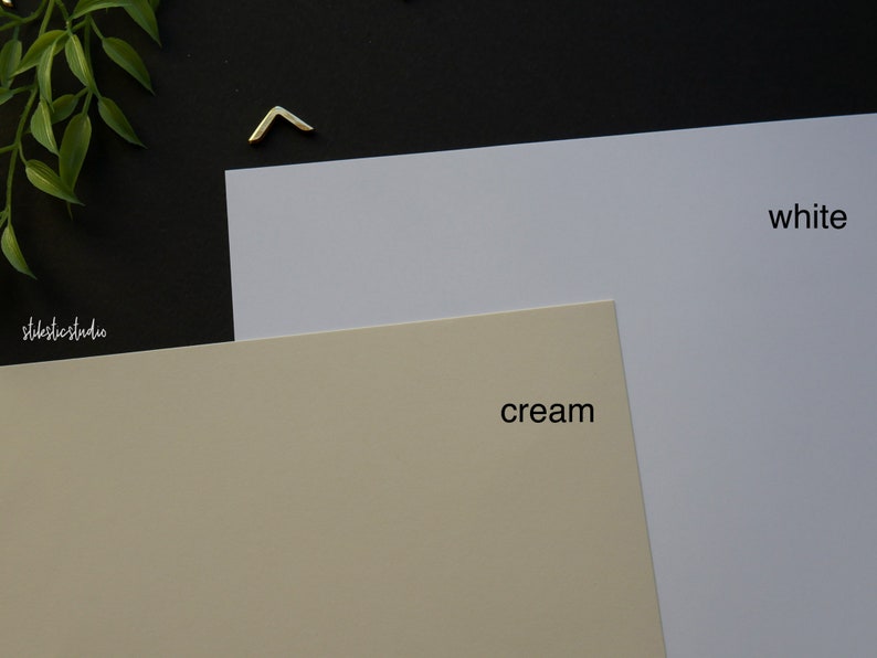 May include: A studio shot featuring two sheets of paper, one cream and one white, with the words "cream" and "white" printed on them. The background is black, with a gold-colored corner and a green leafy branch.