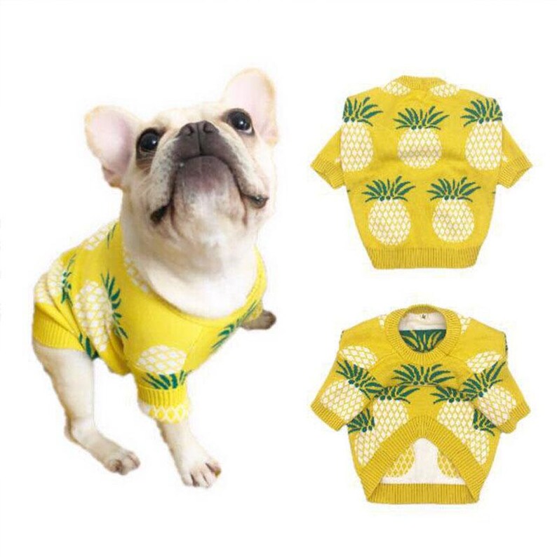 pineapple dog sweater