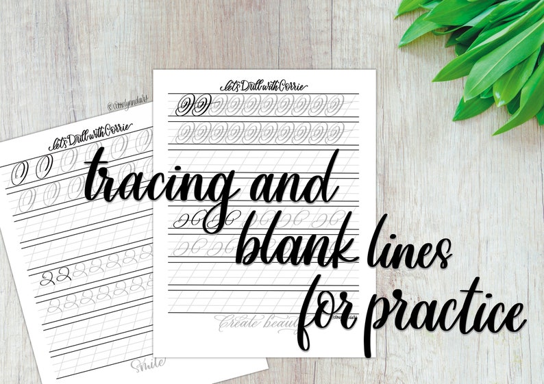 Modern Calligraphy Drill Worksheets for Procreate Hand Lettering | PNG ...