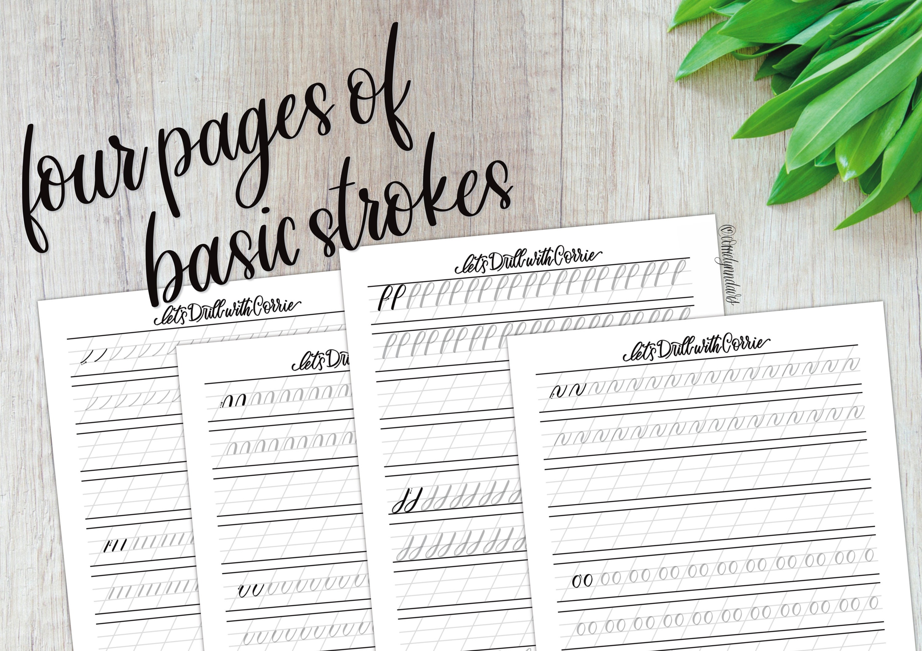 Modern Calligraphy Drill Worksheets for Procreate Hand Lettering | PNG ...