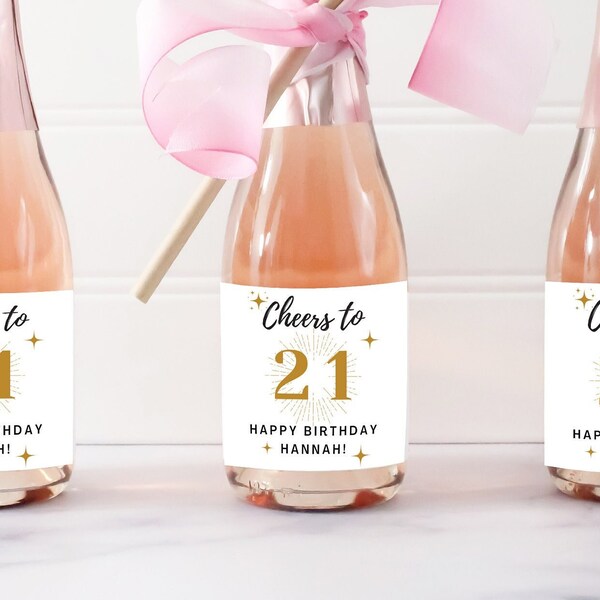 Birthday Mini Champagne Label Cheers to 21 Mini Alcohol Labels 21st 30th 40th 50th Birthday Favor 21st Birthday Mini Wine Label Party Favor
