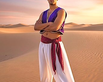 Adult Aladdin Costume