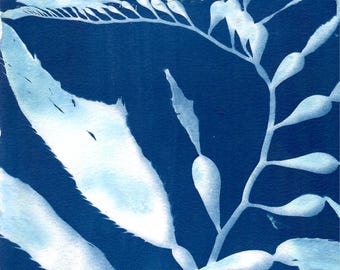 Seaweed Cyanotype Print - 009