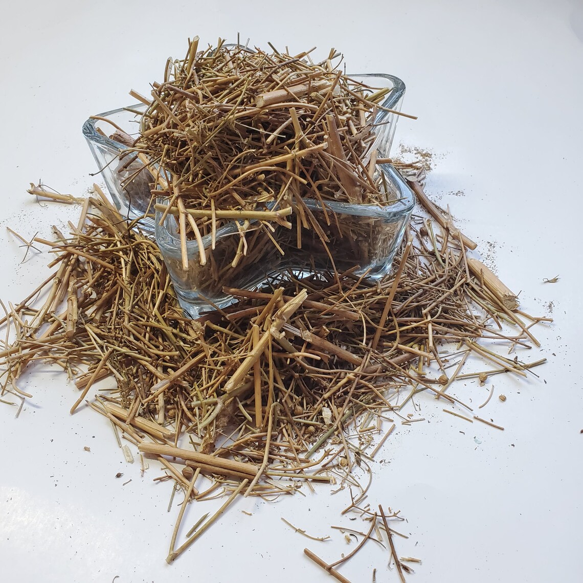 Dried Cilantro plant Crushed 100 Organic Cilantro Root Etsy