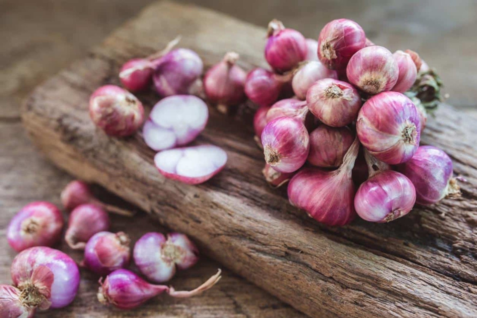 Asian Red Shallot Seeds Organic red onion braided Burgandy Red Etsy