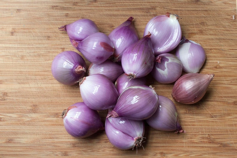 Asian Red Shallot Seeds Organic red onion braided Burgandy ...