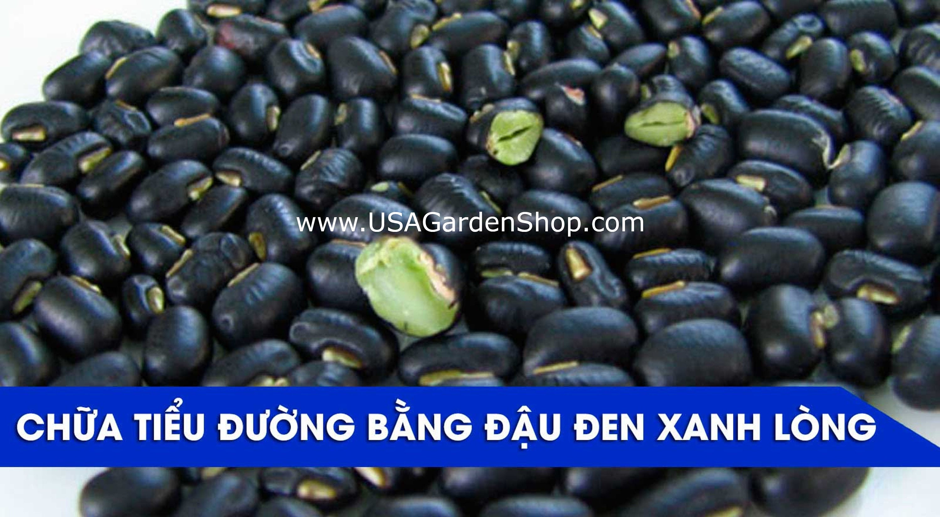 EDAMAME Black Bean Green inside edible Black Jet Soybean Etsy
