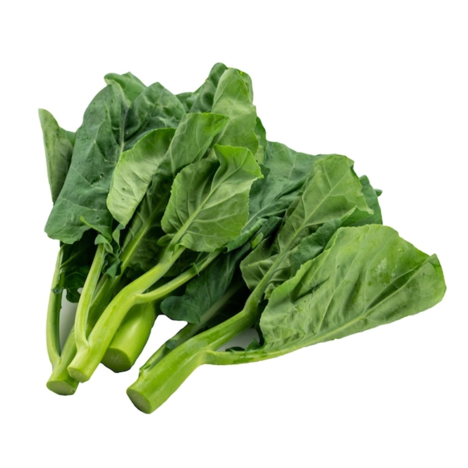 10018000 GAILAN Seeds USA Gai Lan seeds Kailan Kailaan Late Etsy