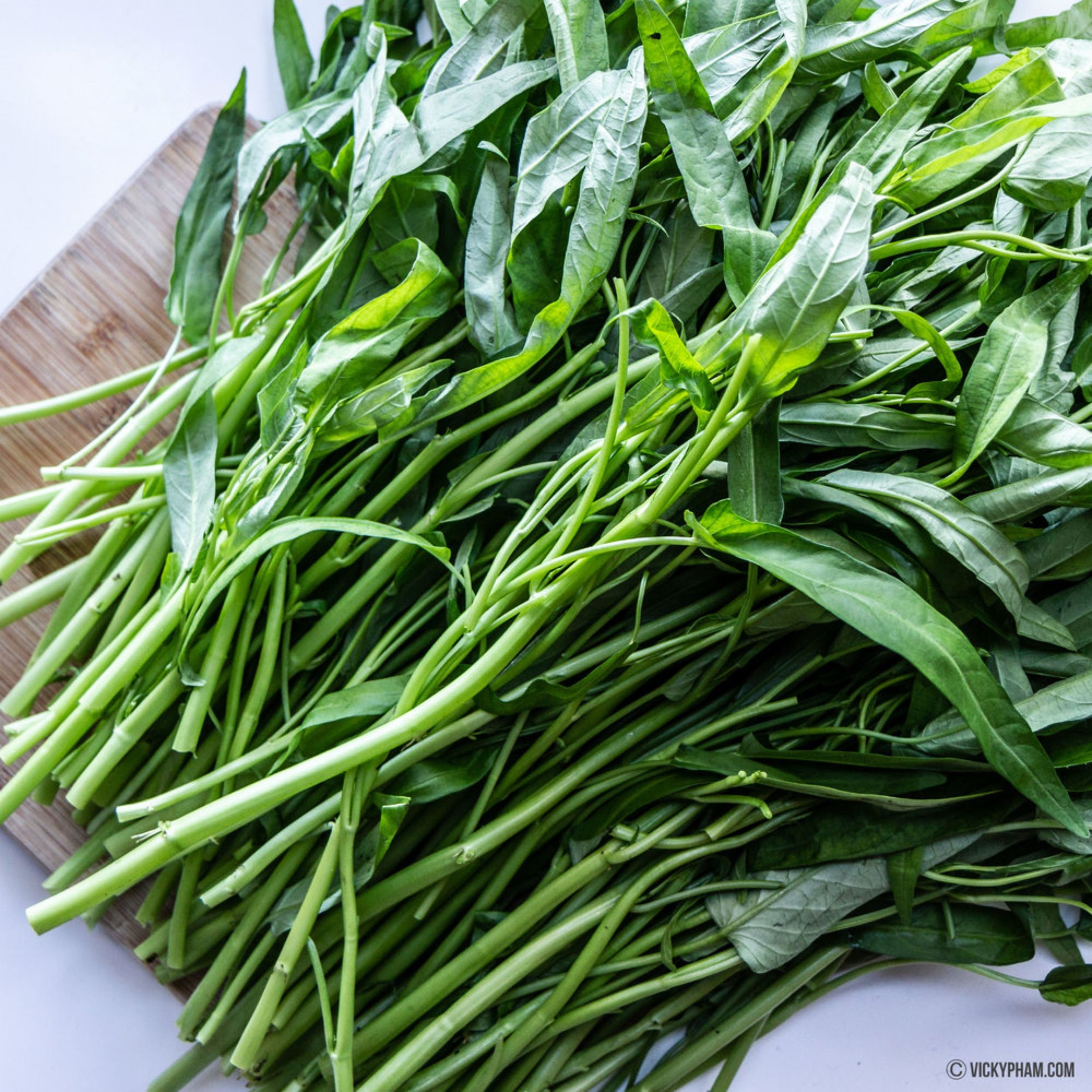 Thai Water Spinach seeds Ching Quat Chinese watercress Ong | Etsy