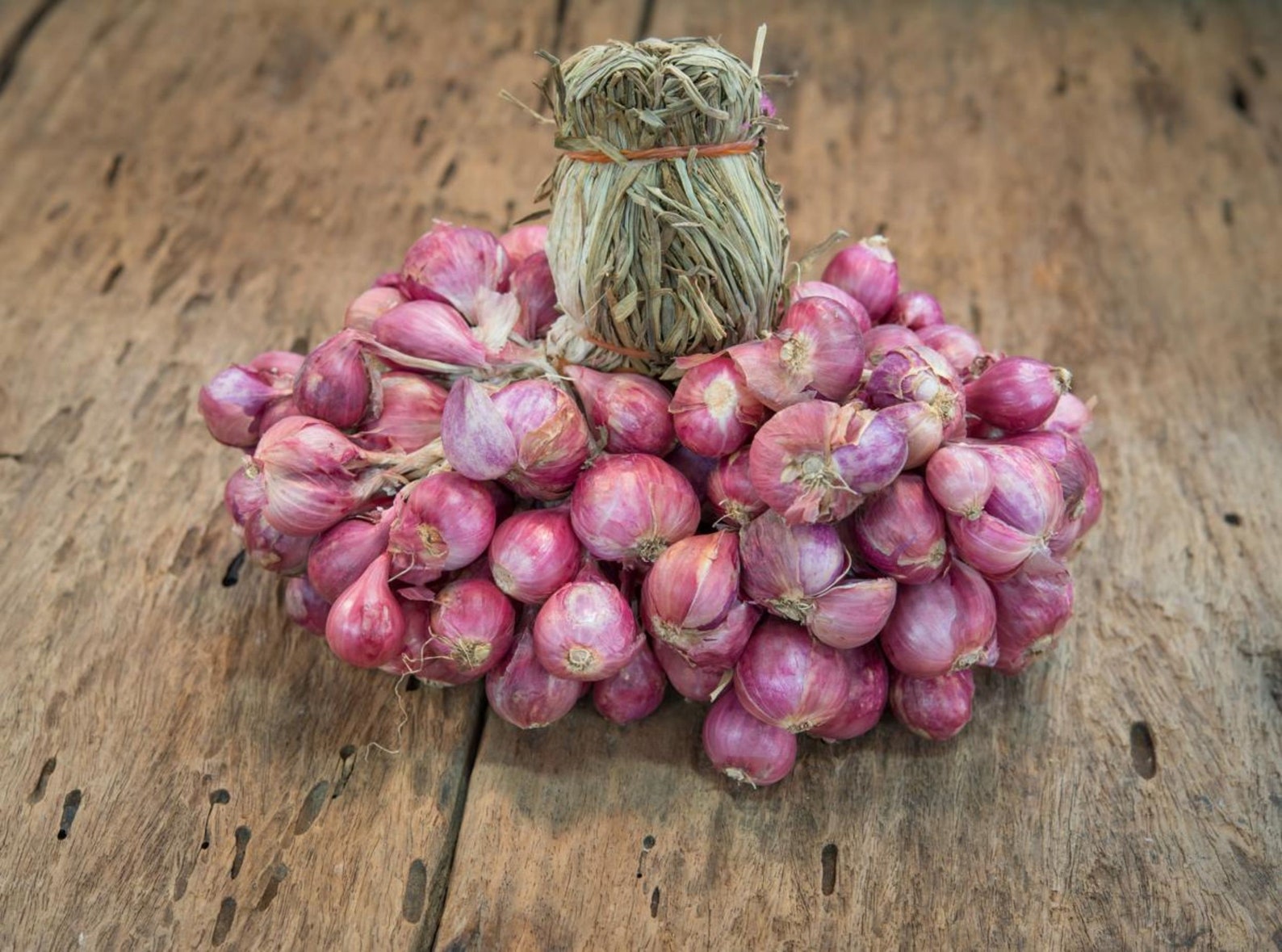 Asian Red Shallot Seeds Organic red onion braided Burgandy Red Etsy