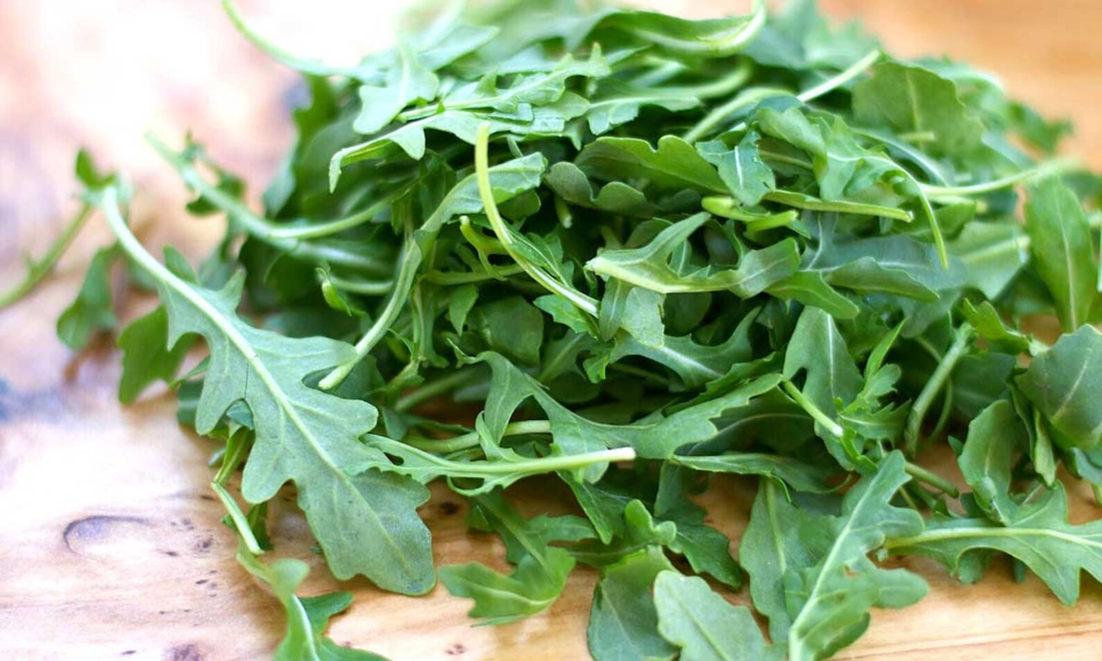 ARUGULA SEEDS rocket leaves Brassicaceae garden rocket Eruca Etsy