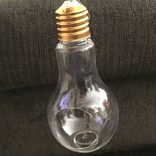 Plastic Light Bulb Terrarium