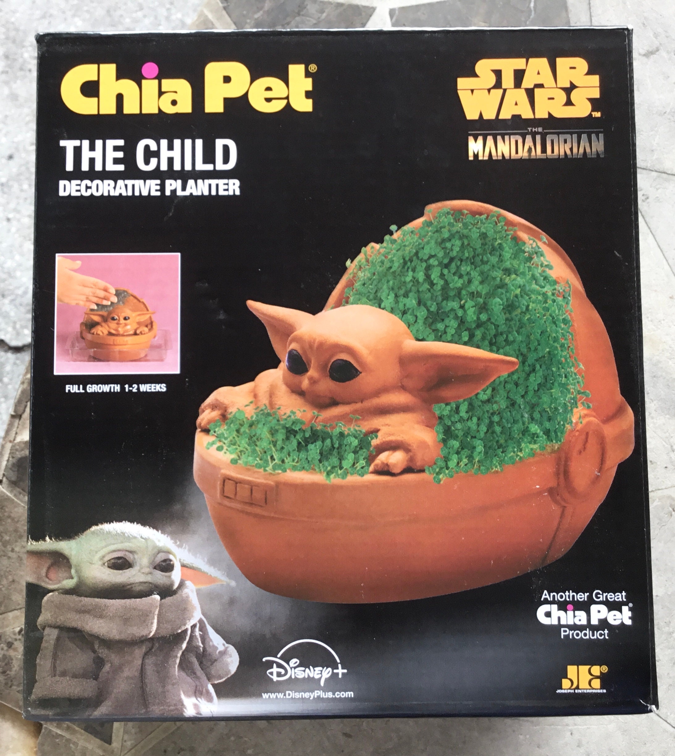 Chia Pet Planter Decorative Indoor Garden Pottery- Baby Yoda