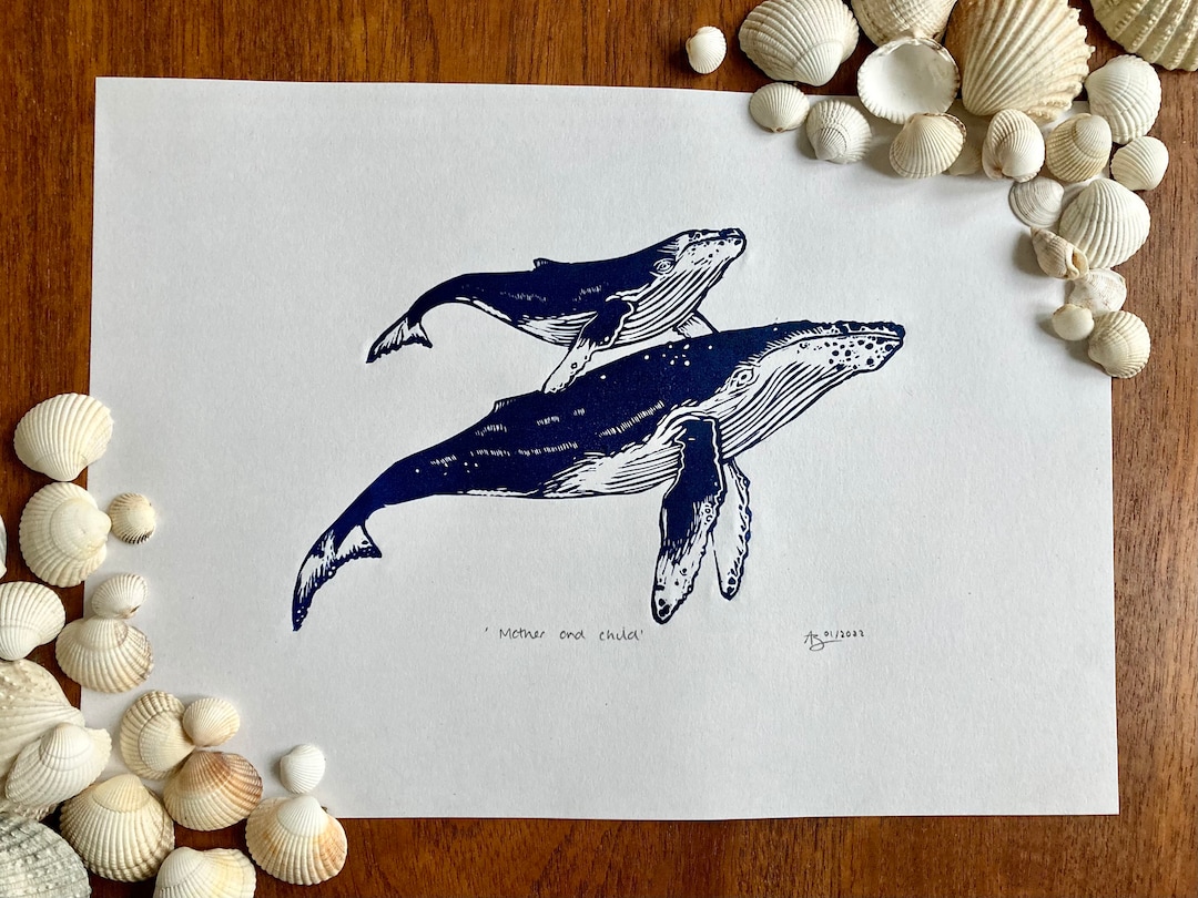 本日限定値下げ comings Whale Living LP 新聞付 whale.jpg