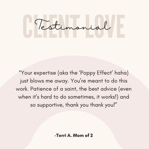 May include: A testimonial from a customer about their experience with a service. The testimonial reads "Your expertise (aka the 'Poppy Effect' haha) just blows me away. You're meant to do this work. Patience of a saint, the best advice (even when it's hard to do sometimes, it works!) and so supportive, thank you thank you!" -Terri A. Mom of 2