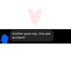 May include: A pink heart doodle with a black background and a text bubble that says "Another great day. One pee accident!"