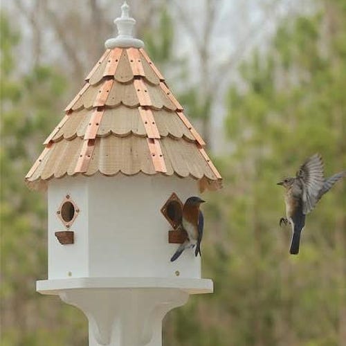 Starlight Bluebird Lodge©  large swamp cypress condo bird house w thick cedar shingles and solid 16 oz copper roof borders *Free FedEx