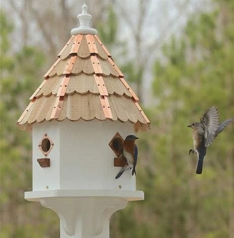 Starlight Lodge © Bluebird condo large cypress birdhouse w thick cedar shingles and solid 16 oz copper strips *Free FedEx Shipping