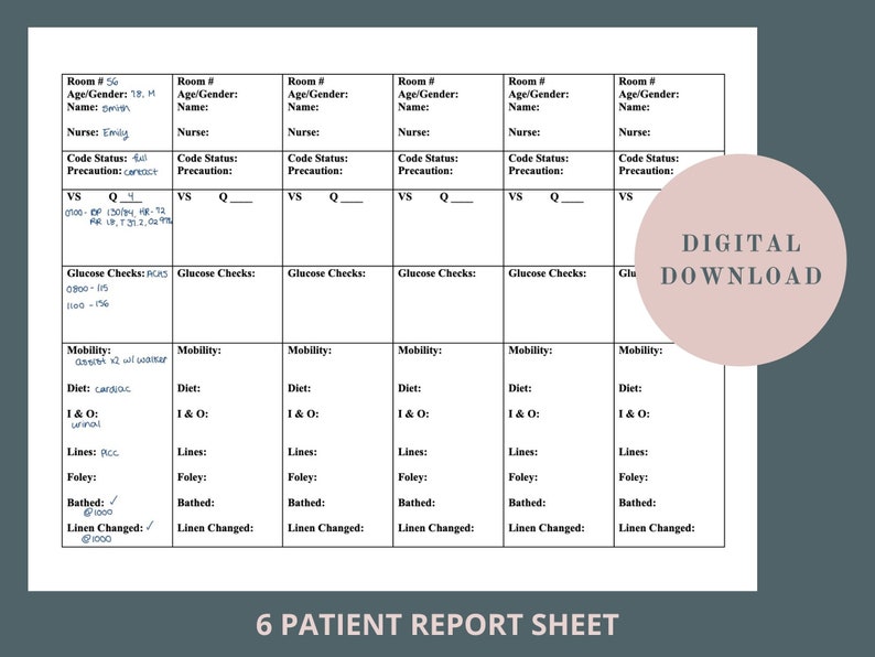 CNA/PCT Report Sheet & Hourly Organization Printable PDF Etsy