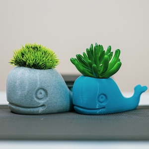 May include: Two whale-shaped planters, one blue and one gray, with green plants growing out of the top.