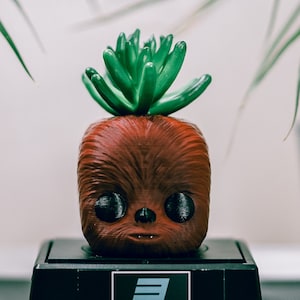 May include: A brown and furry Chewbacca character figurine with a green succulent plant on top. The figurine is on a black base with the text "3-DESIGN.CA" printed on it.